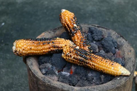 Corn cobs being grilled on a coal stove. Stock Photos