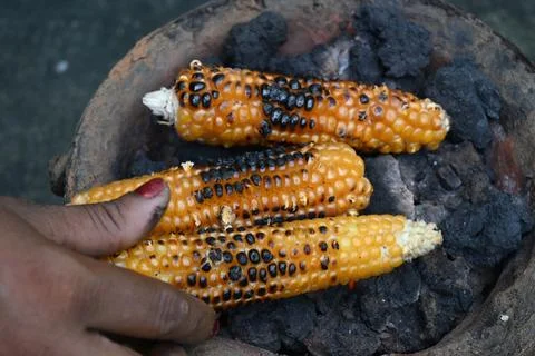 Corn cobs being grilled on a coal stove. Stock Photos