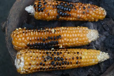 Corn cobs being grilled on a coal stove. Stock Photos