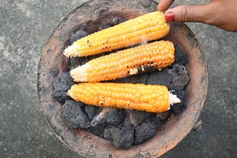 Corn cobs being grilled on a coal stove. Stock Photos