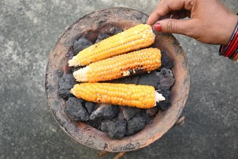 Corn cobs being grilled on a coal stove. Stock Photos
