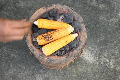 Corn cobs being grilled on a coal stove. Stock Photos