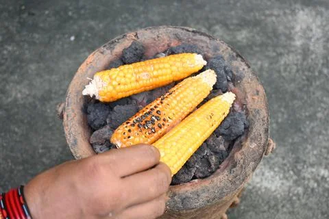 Corn cobs being grilled on a coal stove. Stock Photos