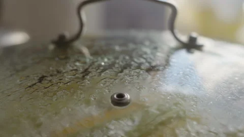 Corn cobs in boiling water under glass pot lid Video stock 337118736
