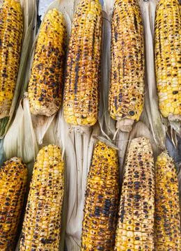 Corn cobs cooked on the grill lie on light corn leaves Fotos Stock