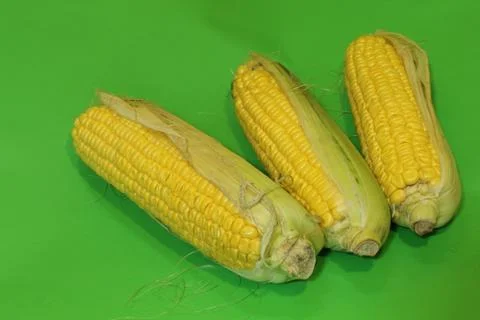 Corn cobs on a green background Stock Photos