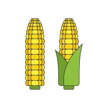 Corn cobs Stock Illustration