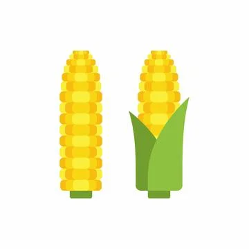 Corn cobs Stock Illustration