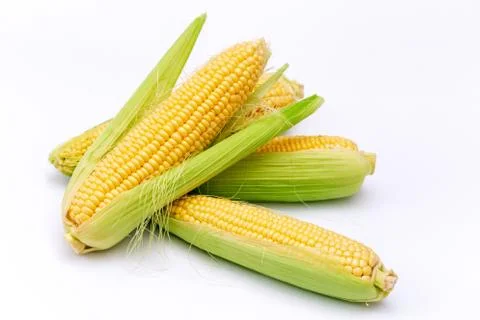 Corn cobs isolated on white background. Stock Photos