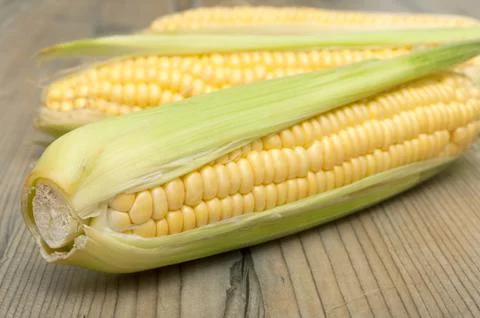 Corn cobs Stockfoto's