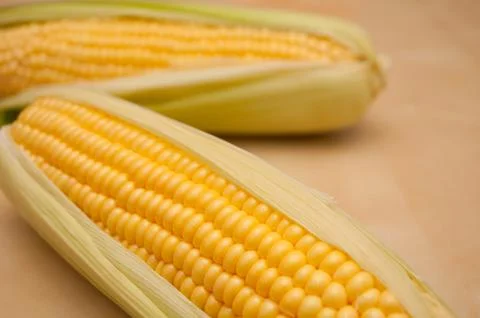 Corn cobs Stock Photos