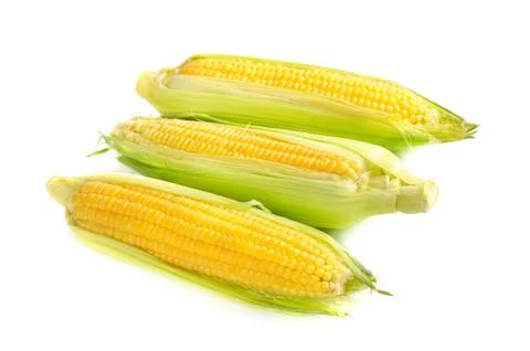 Corn cobs Photos