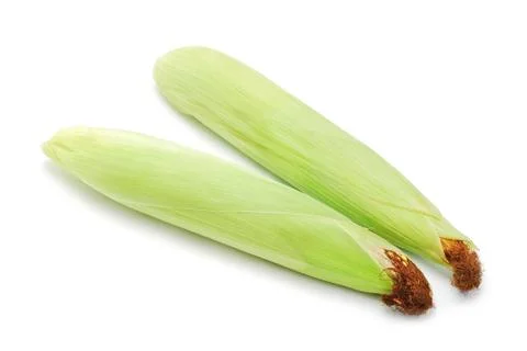 Corn cobs Stock Photos