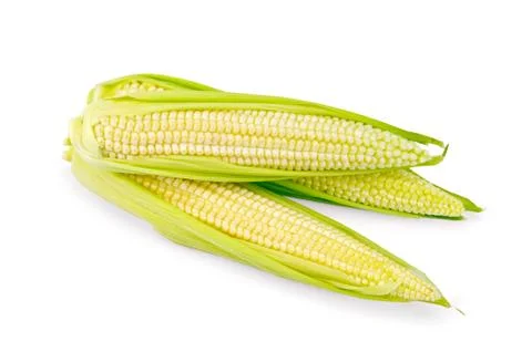 Corn cobs Stock Photos