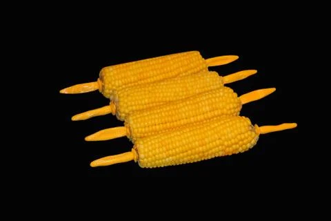 Corn cobs Stock Photos