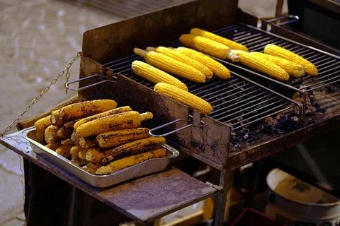 Corn cobs roast on a barbecue grill. Stock Photos