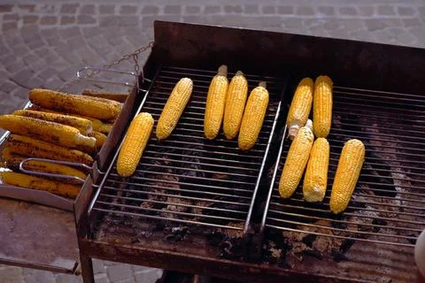 Corn cobs roast on a barbecue grill. Stock Photos