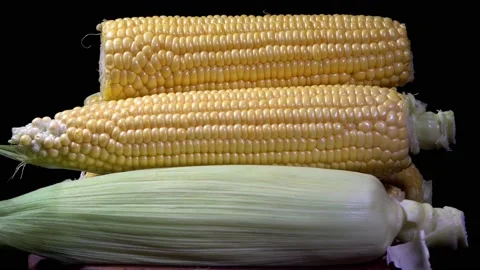 The corn cobs on a rotating table Stock Footage 158704105