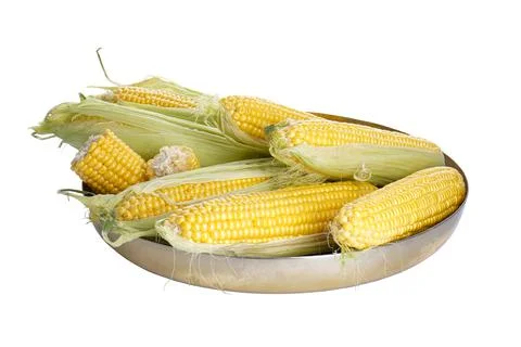 Corn cobs on a tray isolated on white background Stock-Fotos