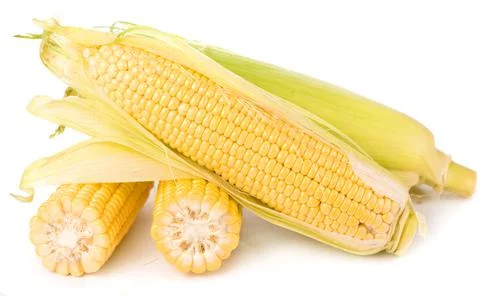 Corn cobs on white background. raw corn with green leaves on a white backgrou Stock Photos