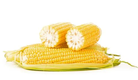 Corn cobs on white background. raw corn with green leaves on a white backgrou Stock Photos