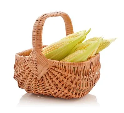 Corn cobs in wicker basket Stock Photos