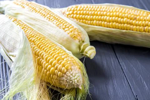 Corn cobs on the wooden table. Macro view Stock Photos