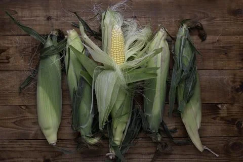 Corn on cobs on wooden table.Top view. Stock Photos