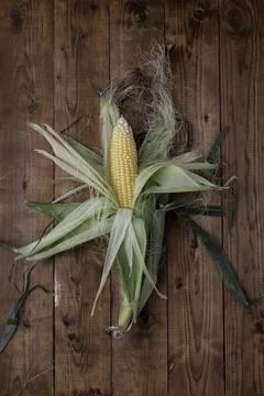 Corn on cobs on wooden table.Top view. Stock Photos