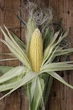 Corn on cobs on wooden table.Top view. Stock Photos