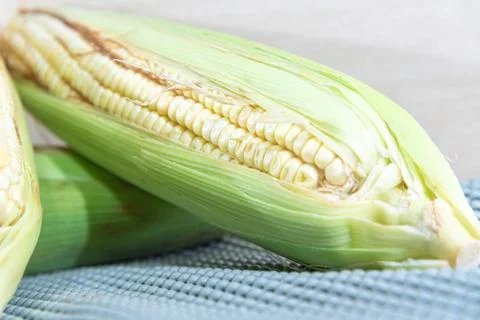 Corn cobs (Zea mays) collected and processed for cooking Stock Photos