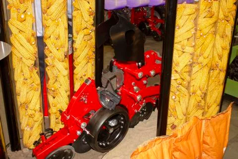 Corn collected from the field using a machine. Stock Photos