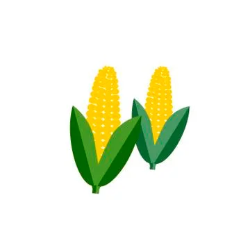 Corn color icon flat vector vegetable Stock Illustration