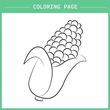 Corn coloring page vector illustration Illustration