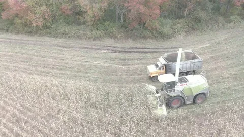 Corn Combine 4k Vídeos de archivo 117990207