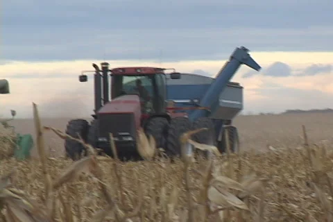 Corn Combine Farming Stock Footage