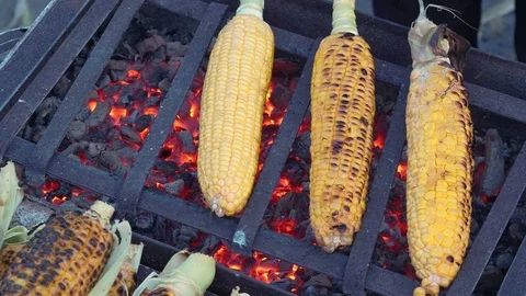Corn cooked on coal fire Stock Footage 93585699
