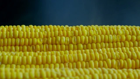 Corn is cooked Stock Footage 78204049