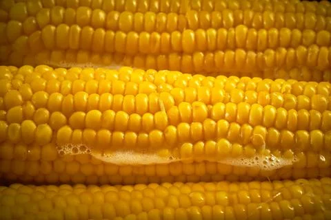 Corn is cooked in a pan in the kitchen, cafe Stock Photos