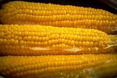 Corn is cooked in a pan in the kitchen, cafe Stock Photos