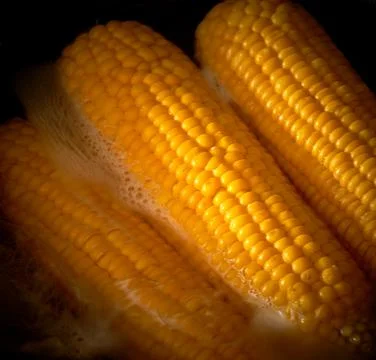 Corn is cooked in a pan in the kitchen, cafe Stock Photos