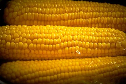 Corn is cooked in a pan in the kitchen Stock Photos