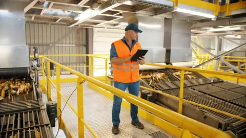 Corn. Corn processing factory. an enterprise for production, procurement and Stock Footage 161411856