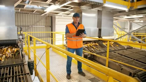 Corn. Corn processing factory. an enterprise for production, procurement and Stock Footage 170709429