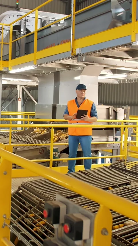 Corn. Corn processing factory. an enterprise for production, procurement and Stock Footage 310719903