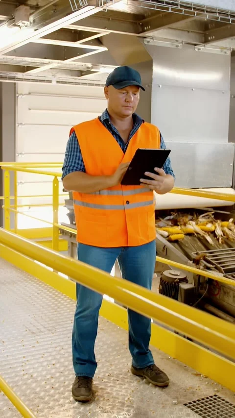 Corn. Corn processing factory. an enterprise for production, procurement and Stock Footage 313733796