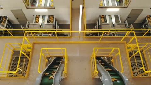 Corn. corn seeds production. Corn processing factory. an enterprise for the Stock Footage