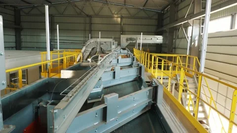 Corn. corn seeds production. Corn processing factory. an enterprise for Stock Footage 161410911