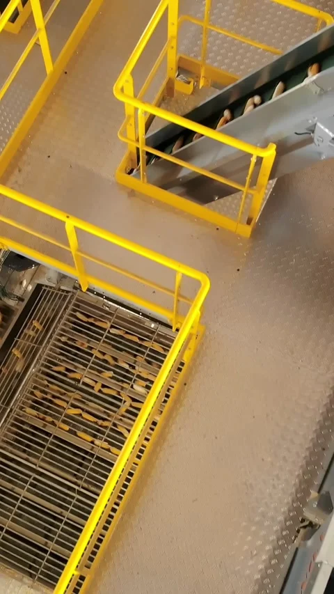 Corn. corn seeds production. Corn processing factory. an enterprise for the Stock Footage 309682942