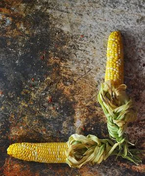 Corn on a Dark Background Stock Photos
